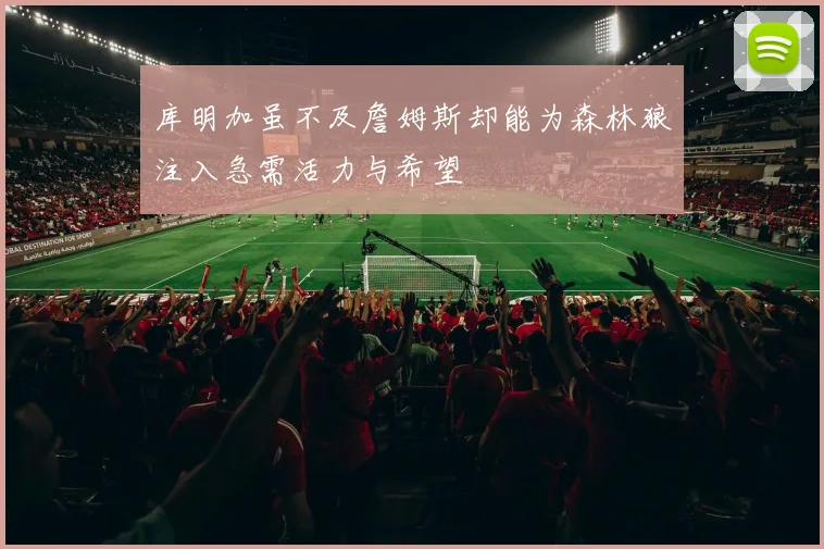 库明加虽不及詹姆斯却能为森林狼注入急需活力与希望